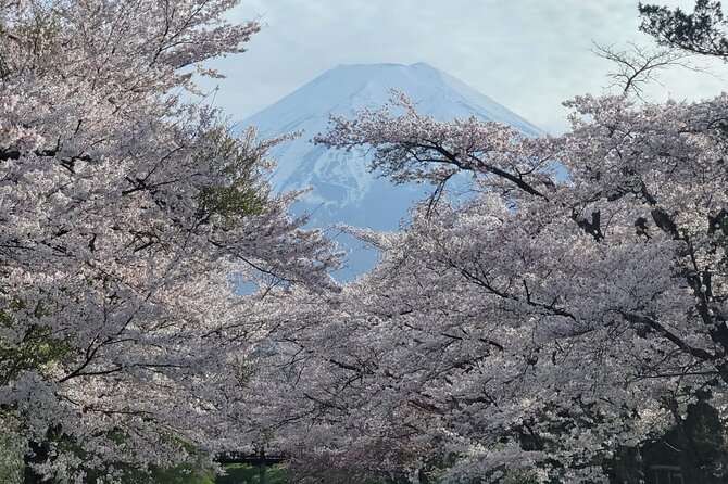 1 Day Tour Mt Fuji,Lake Kawaguchiko With English Speaking Guide - Key Points