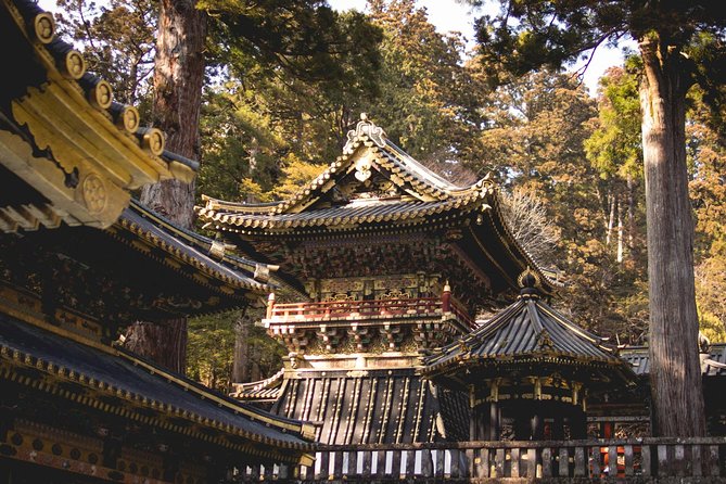 Day Private Nikko World Heritage Tour (Charter) English Speaking Driver Inclusions