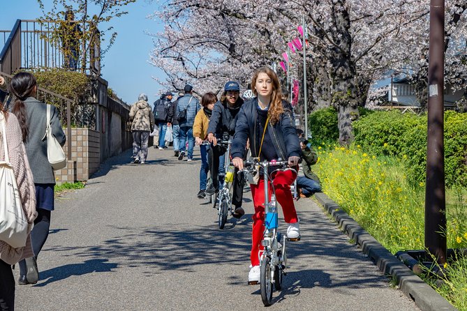 . Hour Guided Cycle Tour in the Central Tokyo Tour Details