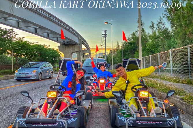 Hour Private Gorilla Go Kart Experience in Okinawa Experience Details
