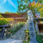 A Tour to Visit Himejis Popular Destinations in a Day! Tour Details