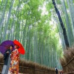 Arashiyama Bamboo Grove Day Trip From Kyoto With a Local: Private & Personalized Tour Highlights