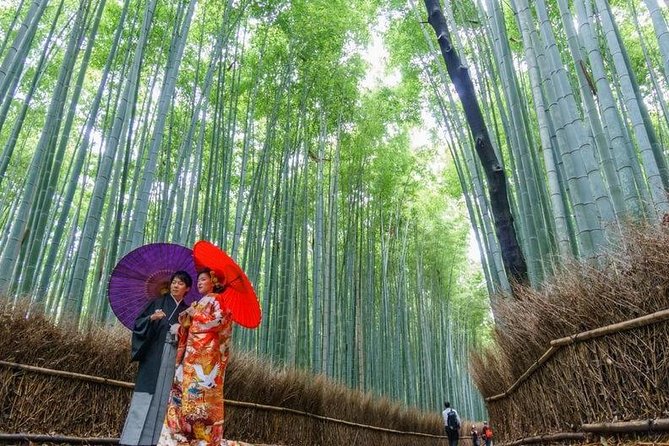 Arashiyama Bamboo Grove Day Trip From Kyoto With a Local: Private & Personalized Tour Highlights