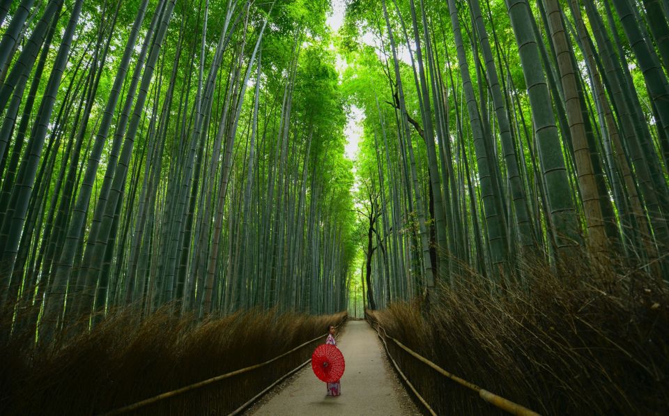 Arashiyama: Self Guided Audio Tour Through History & Nature Tour Highlights