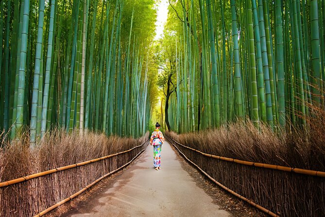 Arashiyama Walking Tour Bamboo Forest, Monkey Park & Secrets Tour Details