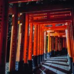 Deep Kyoto & Arashiyama Tour (Private Van Full English Guide) Tour Highlights