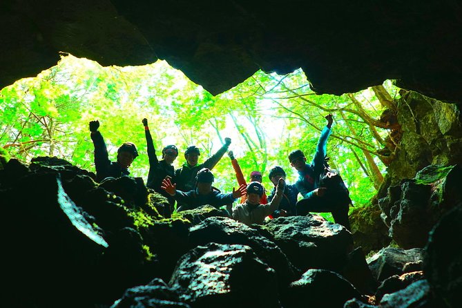 Explore Mt. Fuji Ice Cave in Aokigahara Forest Location and Features