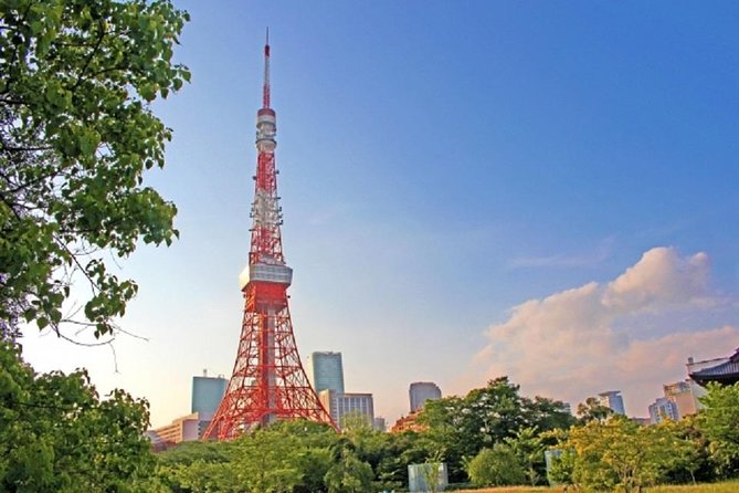 Freely Set up Plans Guided Private Tours in Tokyo Tour Overview