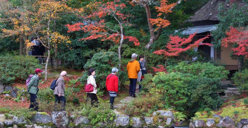 From Kyoto or Osaka: Private Walking Tour Through Nara Activity and Booking Details