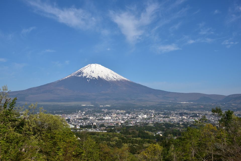 From Tokyo: Day (SIC) Mount Fuji Gotemba Premium Outlet Ticket Details