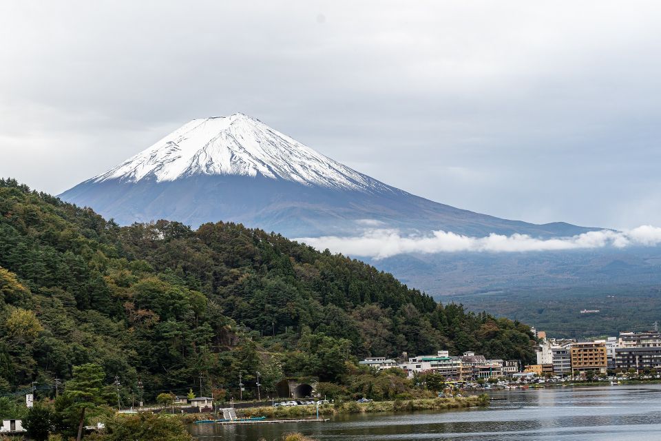 From Tokyo: Private Scenic Day Trip to Kawaguchi Ko Lake Activity Details