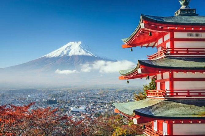 Full Day Private Tour With English Speaking Driver in Mount Fuji Tour Details