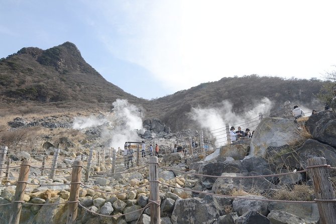 Hakone Hour Private Tour With Government Licensed Guide Tour Details