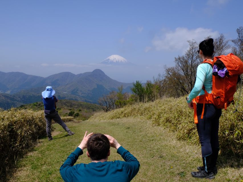 Hakone: Traverse the Hakone Caldera and Enjoy Onsen Activity Details