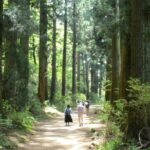 Hike Hakone Hachiri Tour Overview
