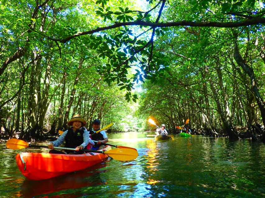 Iriomote Island: Kayaking and Canyoning Tour Tour Details and Booking Information
