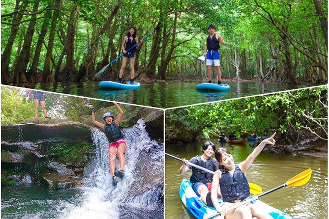 [Iriomote]SUP/Canoe Tour at Mangrove Forest+Splash Canyoning!! Tour Details