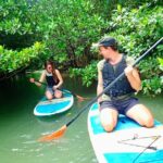 [Ishigaki] Mangrove SUP/Canoe + Phantom Island Snorkeling Activity Details