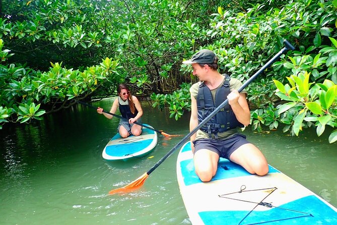 [Ishigaki] Mangrove SUP/Canoe + Phantom Island Snorkeling Activity Details
