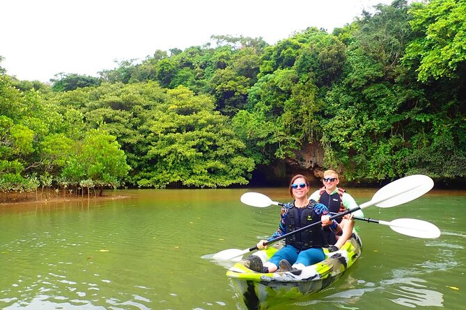 [Ishigaki]Mangrove SUP/Canoe + Blue Cave Snorkeling Tour Details