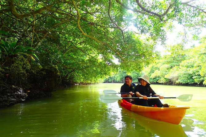 [Ishigaki]Mangrove SUP/Canoe Tour Tour Description