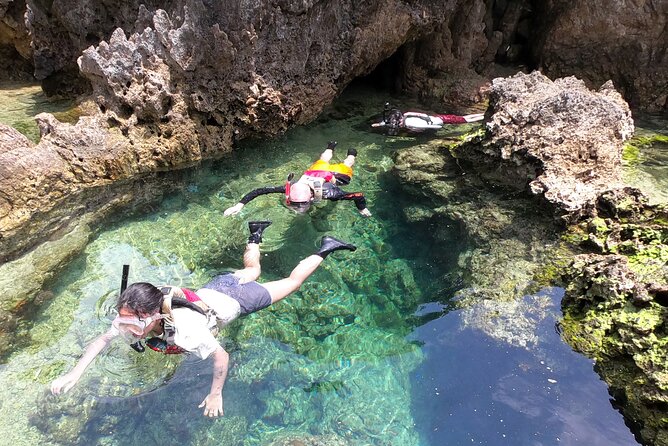 Kayak & Snorkel: Private Tour in Yanbaru, North Okinawa Tour Overview