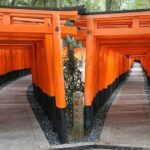 Kyoto Day Trip Golden Pavilion & Kiyomizu Temple From Osaka Tour Highlights