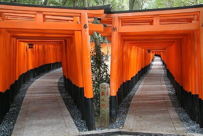 Kyoto Day Trip Golden Pavilion & Kiyomizu Temple From Osaka Tour Highlights
