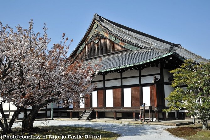 Kyoto and Nara Day Trip Golden Pavilion & Todaiji From Osaka Tour Highlights