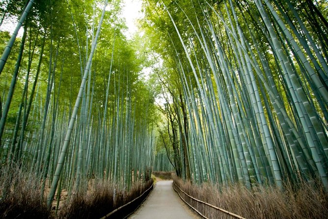 Kyoto Arashiyama Rickshaw Tour With Bamboo Forest Experience the Traditional Charm of Arashiyama