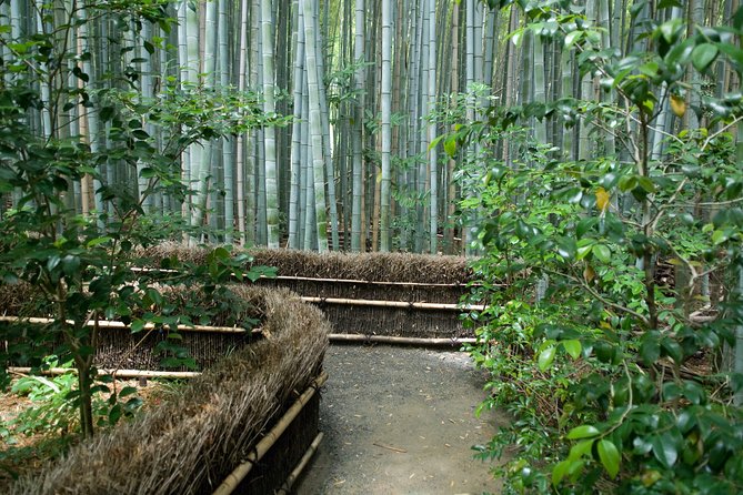 Kyoto Bamboo Forest Electric Bike Tour Tour Overview