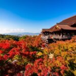 Kyoto Best Spots Private Tour With Licensed Guide (h/h) Tour Duration and Location