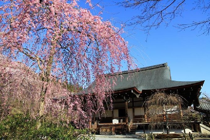 Kyoto Sagano Bamboo Grove & Arashiyama Walking Tour Tour Itinerary