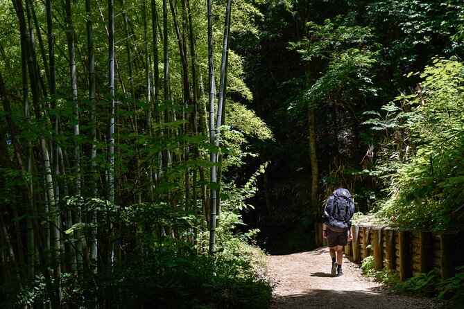 Magome & Tsumago Nakasendo Trail Day Hike With Government Licensed Guide Meeting and Pickup