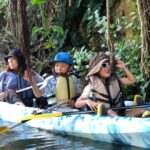 Mangrove Kayaking to Enjoy Nature in Okinawa Activity Highlights