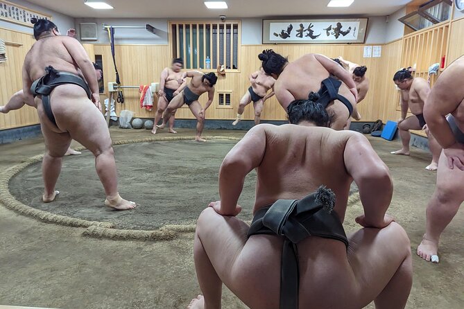 Morning Sumo Practice Viewing in Tokyo Event Details