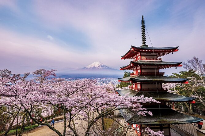 Mount Fuji & Hokane Lakes With English Speaking Guide Itinerary Overview