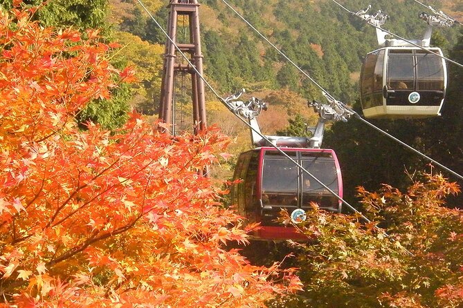 Mt. Fuji th Station and Hakone Day Tour From Tokyo Tour Highlights