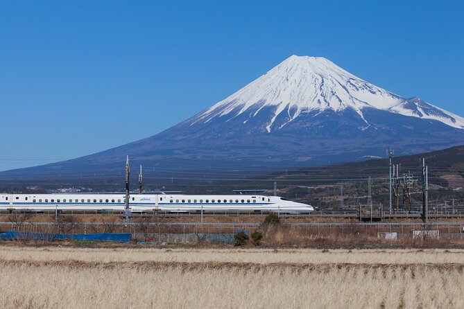 Mt. Fuji and Hakone Day Trip From Tokyo With Bullet Train Option Tour Highlights and Inclusions