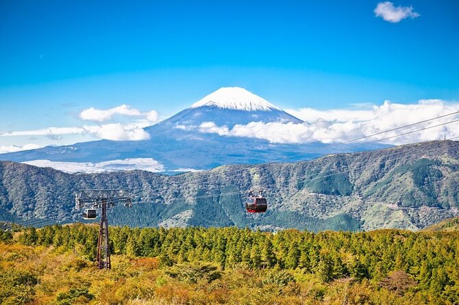 Mt. Fuji and Hakone Private Tour With English Speaking Driver Inclusions and Exclusions