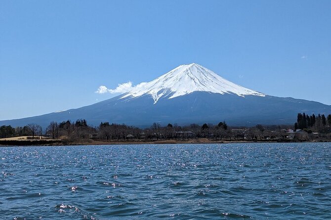 Mt. Fuji and Lake Kawaguchi Day Trip With English Speaking Driver Trip Highlights