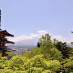Mt Fuji Day Trip From Tokyo by Car With Photographer Guide Tour Highlights