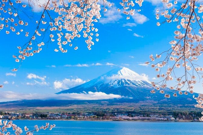 Mt. Fuji Five Lakes Area Private Tour With Licensed Guide(Kawaguchiko Area Dep) Tour Details