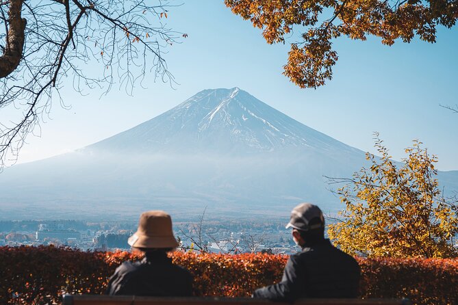 Mt Fuji, Hakone Private Tour by Car With Pickup Pickup Locations