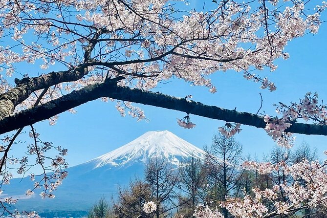 Mt. Fuji & Lake Kawaguchiko Private Day Tour With Pick & Drop Tour Itinerary Highlights