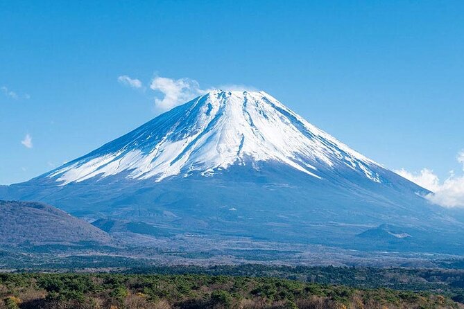 Mt.Fuji, Oishi Park & Arakurayama Sengen Park Bus Tour From Tokyo Tour Highlights