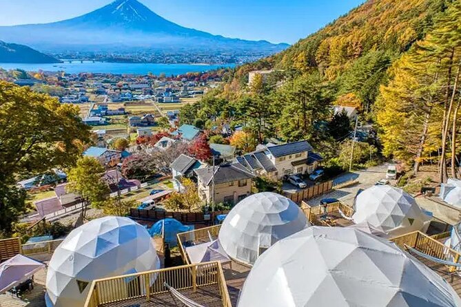 Mt. Fuji Private Tour by Car With Pick Up From Tokyo What To Expect