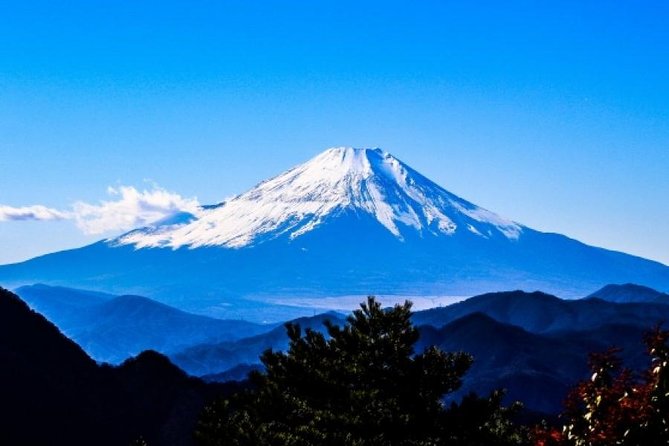 Mt. Fuji View and hours+ Free Time at Gotemba Premium Outlets Tour Overview