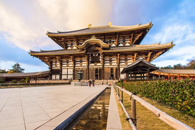 Nara Afternoon Tour Todaiji Temple and Deer Park From Kyoto Tour Overview
