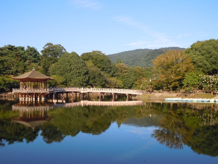 Nara: Todai ji and Nara Park (Spanish Guide) Detalles De La Actividad